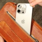 کیف دسته چک و پاسپورتی چرم طبیعی بیورا مدل pa01 - تصویر 20