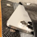 کیف دستی و پاسپورتی چرم طبیعی کروکودیلی بیورا مدل pa05 - تصویر 4