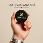 کیف دستی و پاسپورتی چرم طبیعی فلوتر بیورا مدل pa010